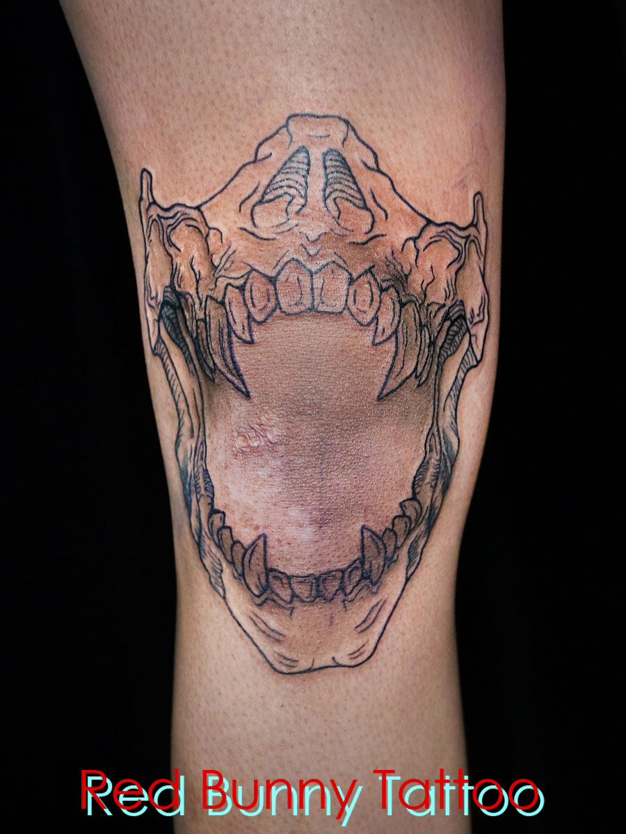 G@XJ@[@^gD[fUC@knee skull